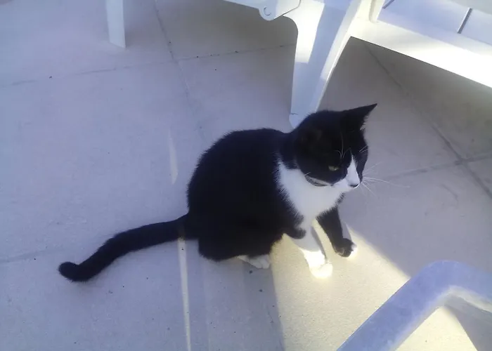 Les Passerons Nyaraló Vaumeilh