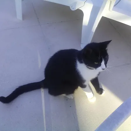 Les Passerons 펜션 Vaumeilh